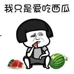 吃瓜娱乐高清在线观看