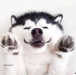 吃瓜群众视频合集在线观看,笑料百出视频合集